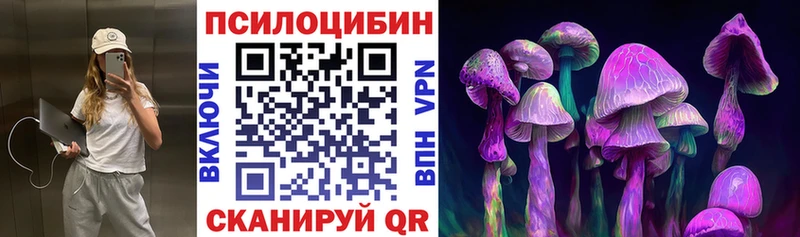 где купить наркоту  Верхний Уфалей  Галлюциногенные грибы Psilocybe 