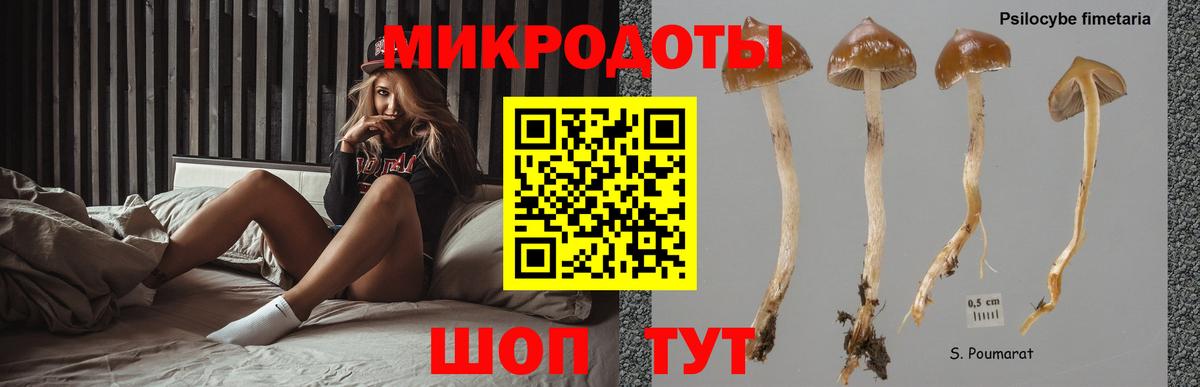 Верхний Уфалей  Псилоцибиновые грибы Cubensis  Псилоцибиновые грибы GOLDEN TEACHER  Вход с VPN 